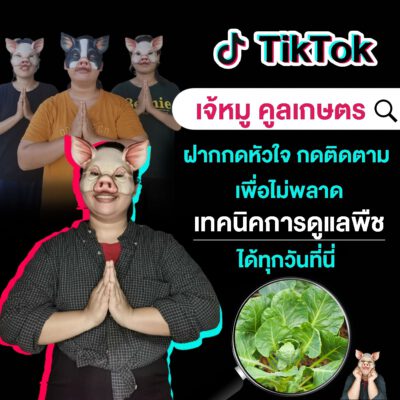 คลินิกพืชคูลเกษตร เจ้หมู