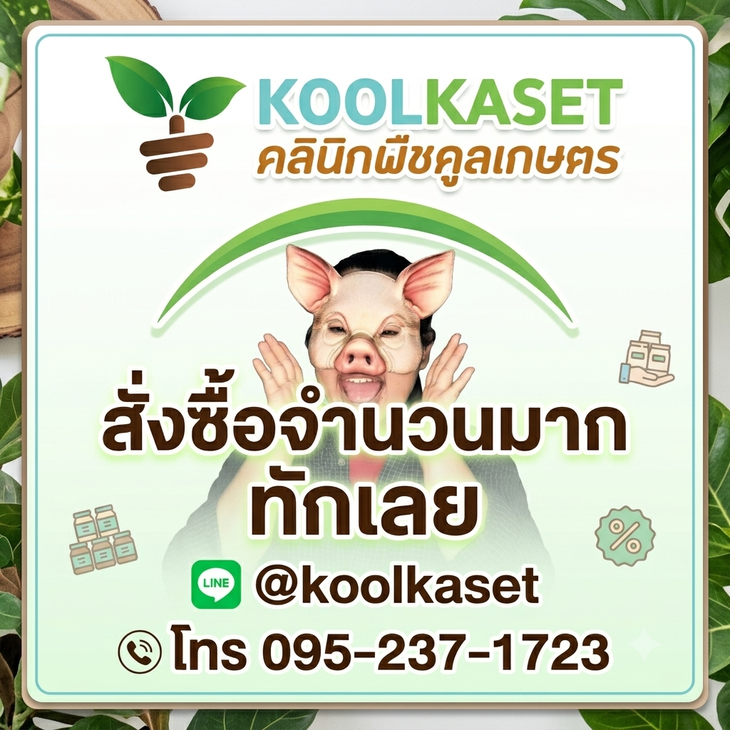 สั่งซื้อ 4