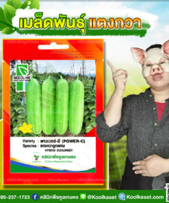พันธุ์ผัก แตงกวา พาวเวอร์-ซี SL ซีดไลน์ ผลดก โตไว ผลผลิตสูง ทนทานต่อโรค คลินิกพืชคูลเกษตร