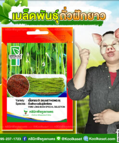 พันธุ์ผัก ถั่วฝักยาว เนื้อทอง 9 SL ซีดไลน์ ฝักดกมาก สีเขียว เนื้อแน่น รสชาติดี ไม่ฝ่อง่าย ผลผลิตสูง คลินิกพืชคูลเกษตร