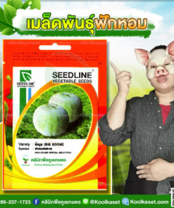 พันธุ์ผัก ฟักหอมคัดพิเศษ บิ๊กบูม SL ซีดไลน์ คุณภาพดี ผลดก สีเขียวนวล เนื้อแน่น กลิ่นหอม คลินิกพืชคูลเกษตร