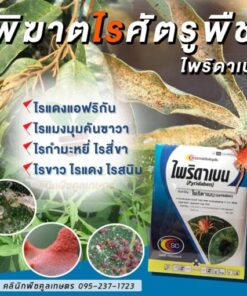 กำจัดไร ไพริดาเบน  ป้องกัน ไรแดง ไรขาว ไรสนิม ไรแอฟริกัน ผลไม้ ผะกสวนครัว ทุเรียน คลินิกคูลเกษตร