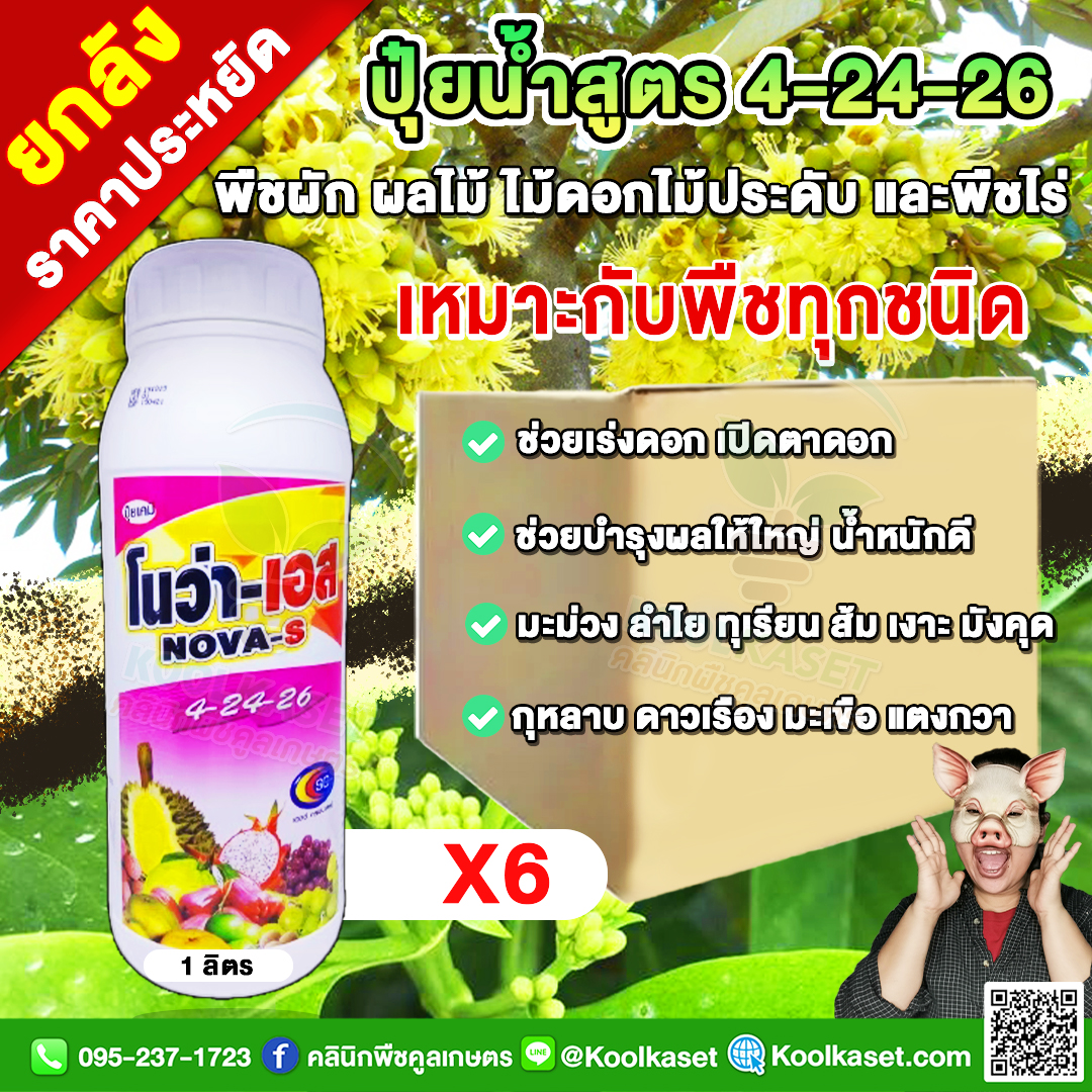 143 โนว่า-เอส SC 4-24-26-ฮอร์โมน-1L-X6