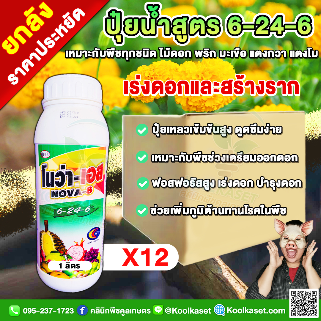 151 โนว่า-เอส SC 6-24-6-ฮอร์โมน-1L-X12