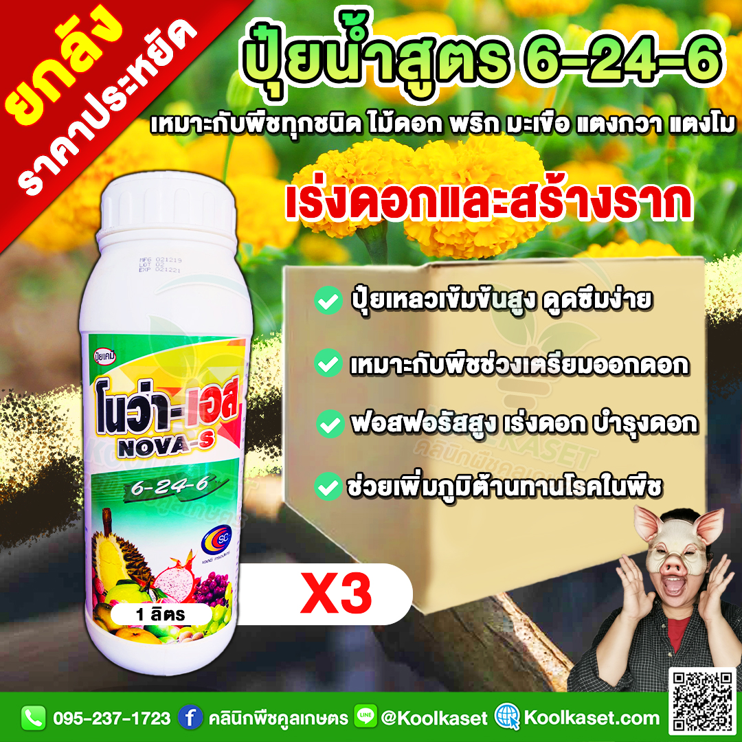 151 โนว่า-เอส SC 6-24-6-ฮอร์โมน-1L-X3