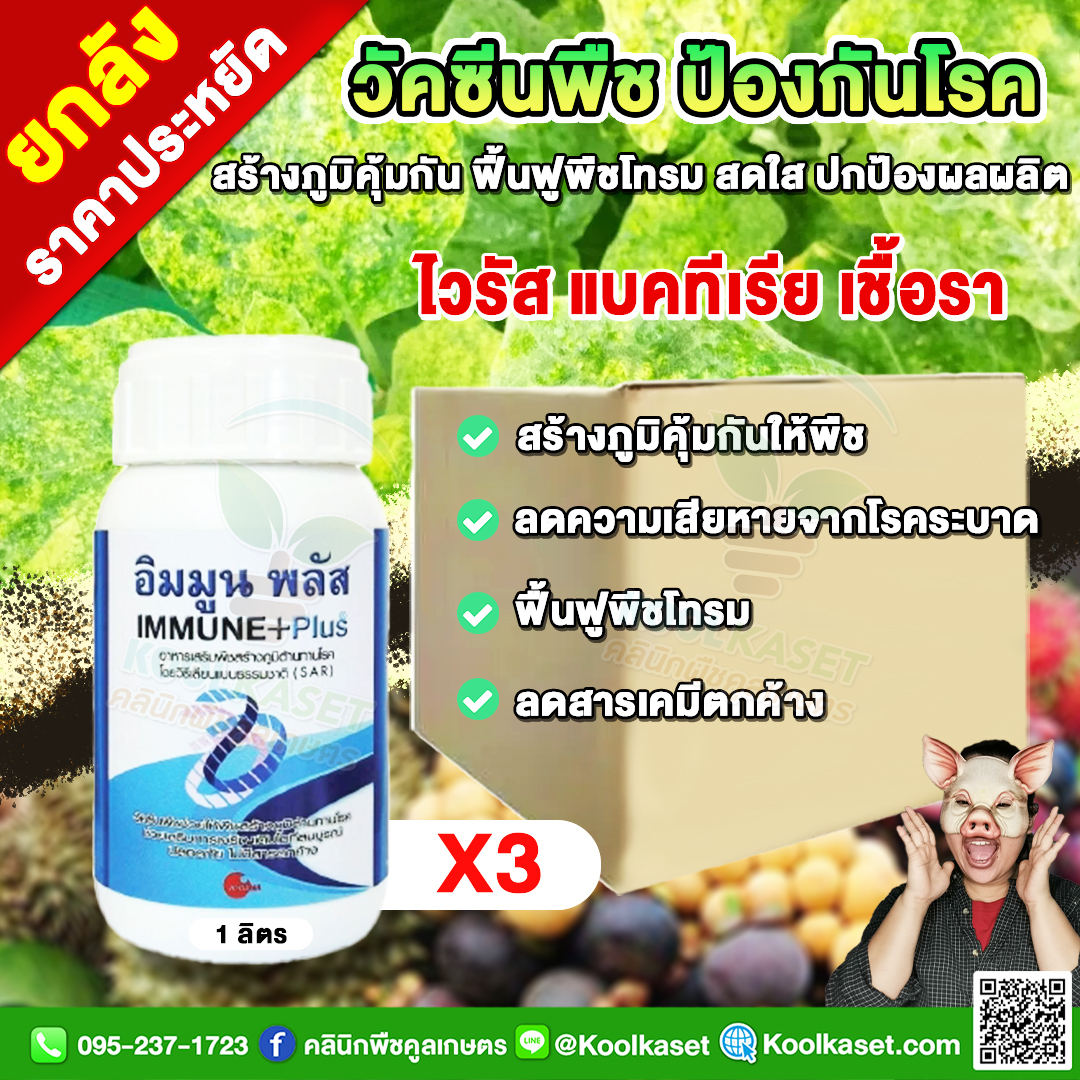 34 อิมมูนพลัส-เชื้อรา-1L-X3