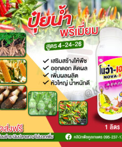 ยกลัง สุดคุ้ม โนว่าเอส ปุ๋ยน้ำ สูตรเร่งดอก เร่งผล 4-24-26 เพิ่มการออกดอก ช่อดอกสมบูรณ์ เพิ่มความหวาน คลินิกพืชคูลเกษตร