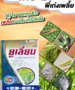 กำจัดเพลี้ย ยูเลี่ยน ไทอะมีทอกแซม เพลี้ยไฟ เพลี้ยอ่อน เพลี้ยแป้ง เพลี้ยจั้กจั่น คลินิกคูลเกษตร