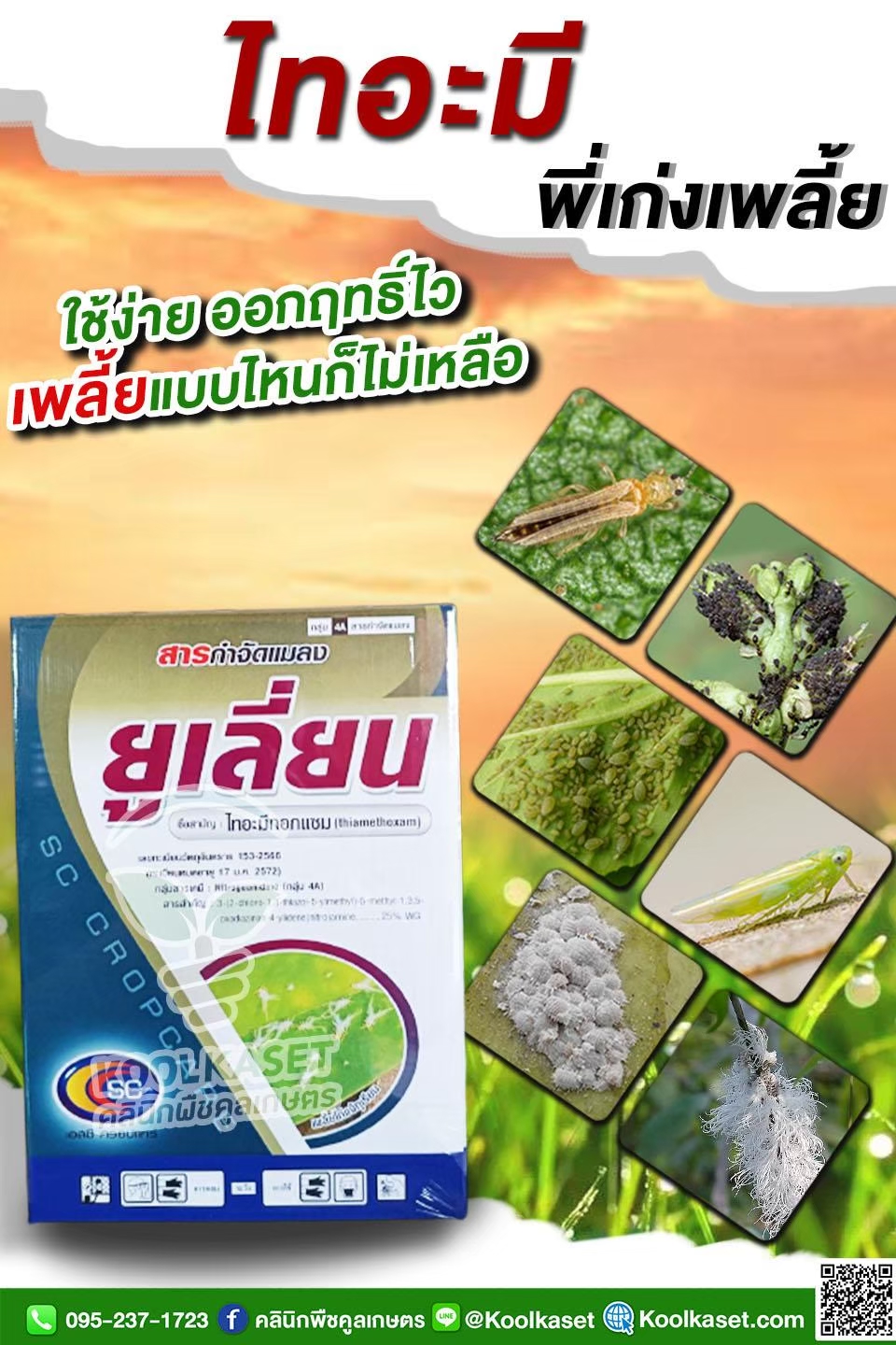 LINE_ALBUM_ศัตรูพืช สินค้าเดี่ยว_250919_3