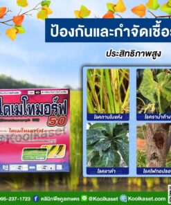 กำจัดเชื้อรา ไดเมโทมอร์ฟ ป้องกัน โรคพืช ใบจุด ใบไหม้ ราน้ำค้าง ไฟทอปเธอร่า ราดำ คลินิกพืชคูลเกษตร