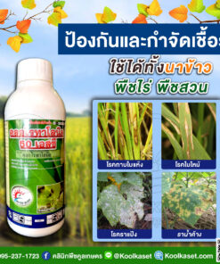 ยกลัง สุดคุ้ม สารป้องกัน และกำจัดโรคพืช คลอโรทาโรนิล 50% สารสัมผัส 1 ลิตร นาข้าว พืชไร่ พืชสวน ไม้ผล คลินิกคูลเกษตร