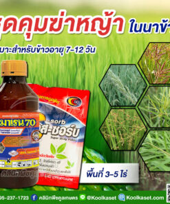 ยกลัง สุดคุ้ม ชุดคุมฆ่าหญ้า นาข้าว ไซมาเรน บิวทาคลอร์+โพรพานิล แถมสารเร่งดูดซึม เหมาะนาข้าว 7-14 วัน คุมฆ่า วัชพืช ใบแคบ และใบกว้าง คลินิกพืชคูลเกษตร