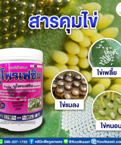 กำจัดแมลง บูโพรเฟซิน SC ป้องกัน แมลงปากดูด ควบคุมการฟักไข่ ลดการวางไข่ คลินิกพืชคูลเกษ