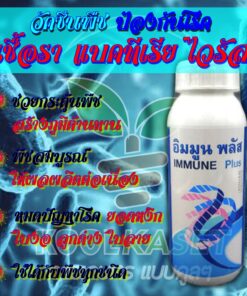 ยกลัง สุดคุ้ม สารป้องกันไวรัส วัคซีนพืช อิมมูนพลัส  ใบหงิกใบงอ ยอดกูด พริก มะเขือ แตง ผักสวนครัว คลินิกพืชคูลเกษตร