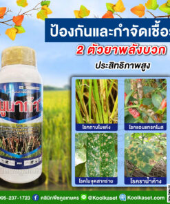 ยกลัง สุดคุ้ม สารกำจัดโรคพืช นูนาก้า ไดฟีโนโคนาโซล + โพรพิโคนาโซล 500 ซีซี กำจัดเชื้อรา  ไม้ดอก ไม้ผล พืชผักสวนครัว คลินิกพืชคูลเกษตร