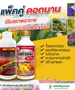 ยกลัง สุดคุ้ม ซิ้งค์พลัส  ซิงค์ สังกะสี สูตรเข้มข้น สำหรับพืช ทนทาน ต่ออากาศหนาว ข้าวโพด ข้าว แตง คลินิกพืชคูลเกษตร