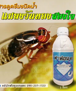 แมลงวันทอง ฟาฟอน สารกำจัดแมลงวันทอง ชนิดน้ำ ฉีดป้องกัน แบบดูดซึม คลินิกพืชคูลเกษตร