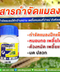 เวปแทรป ชนิดดูดซึม กำจัด หนอน เพลี้ยไฟ แมลงปีกแข็ง ด้วง เต่าแตง แมลงกินใบ ปลวก คลินิกพืชคูลเกษตร