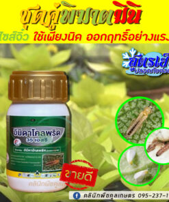 ยกลัง สุดคุ้ม กําจัดเพลี้ย แมลง ชุดทดลอง อิมิดาโคลพริด สูตรเข้มข้น  เพลี้ยไฟ ในไม้ดอก ไม้ผล นาข้าว คลินิกพืชคูลเกษตร