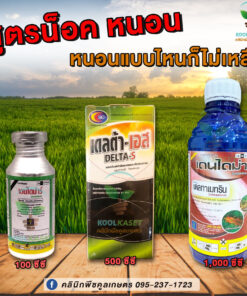 ยกลัง สุดคุ้ม เดลต้า-เอส เดลตาเมทริน สูตรสัมผัส สูตรน็อค น็อคเพลี้ย น็อคหนอน ออกฤทธิ์สั้น คลินิกคูลเกษตร