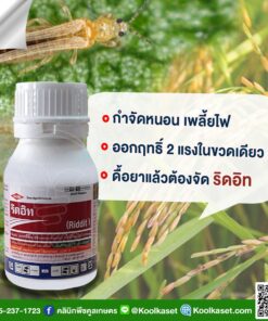 กำจัดหนอน ริดอิท ป้องกันกำจัดเพลี้ย ห่อใบข้าว หนอนกระทู้หอม เจาะฝัก เพลี้ยไฟ คลินิกพืชคูลเกษตร