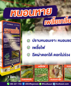 อะบาเมกติน สูตรน้ำใส เหมาะ กำจัดหอยเชอรี่ เบื่อปู มด ศัตรูพืชทำลายนาข้าว คลินิกพืชคูลเกษตร