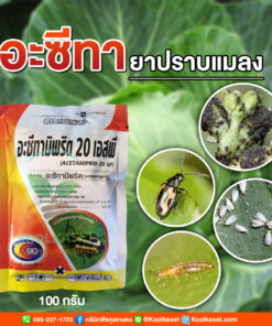 กำจัดแมลง อะซีทามิพริด ใช้ในสวนผลไม้ พืกผักสวนครัว ด้วงหมัดผัก เพลี้ยไฟ แมลงหวี่ขาว คลินิกพืชคูลเกษตร