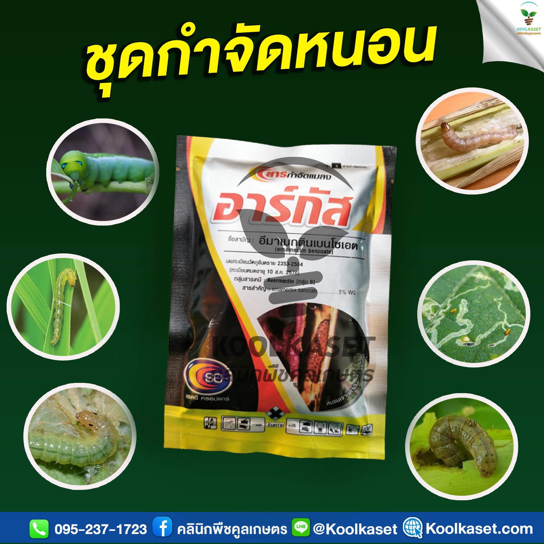 อาร์กัส