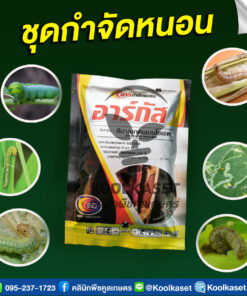 ยกลัง สุดคุ้ม อาร์กัส  อีมาเม็กติน ราบคาบ พร้อมคุมไข่ กำจัดหนอน หนอนเจาะ ในข้าว ข้าวโพด อ้อย พริก คลินิกพืชคูลเกษตร