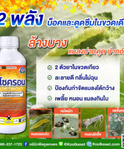 ยกลัง สุดคุ้ม อาโซครอน โพรฟีโนฟอส + ไซเพอร์เมทริน 2 ตัวยา น็อค+ดูดซึม ป้องกัน แมลง เพลี้ย หนอน คลินิกพืชคูลเกษตร