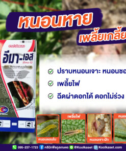 อีมาเอส อีมาเม็กติน กำจัดหนอน หนอนเจาะ หนอนกระทู้ หนอนด้วง ใน ข้าว ข้าวโพด อ้อย คลินิกพืชคูลเกษตร