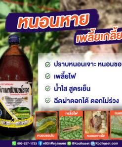 ยกลัง สุดคุ้ม อีมาเอส อีมาเม็กติน กำจัดหนอน หนอนเจาะ หนอนกระทู้ หนอนด้วง ใน ข้าว ข้าวโพด อ้อย คลินิกพืชคูลเกษตร