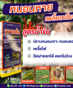 อะบาเมกติน สูตรน้ำข้น สูตรร้อน เหมาะ กำจัดหอยเชอรี่ เบื่อปู มด ศัตรูพืชทำลายนาข้าว คลินิกพืชคูลเกษตร