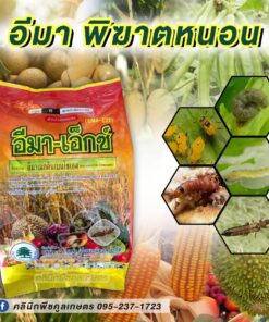 กำจัดหนอน อีมา-เอ็กซ์ ข้าวโพด ข้าว อ้อย หนอนม้วนใบ หนอนเจาะ หนอนกระทู้ คลินิกพืชคูลเกษตร