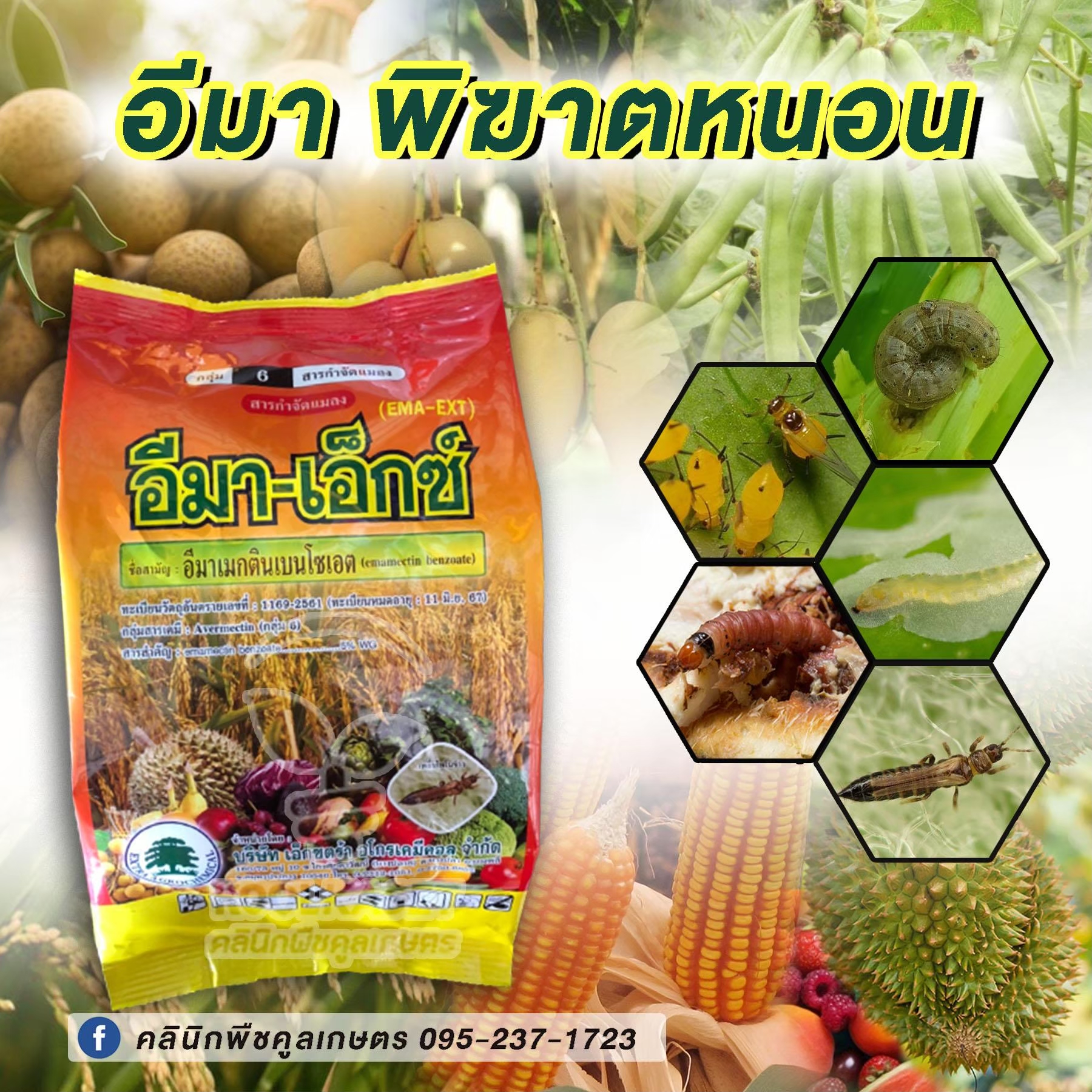 อีมาไม่มีราคา