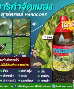 ยกลัง สุดคุ้ม สารกำจัดแมลง ไร้กลิ่น ไม่เหม็น ฮาร์ดคอร์ หนอน เพลี้ย แมลง พืชผัก ผลไม้ พืชไร่ พืชสวน คลินิกคูลเกษตร