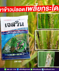 ยกลัง สุดคุ้ม เจสวิน ไพมีโทรซีน  ตัวเก่ง ป้องกัน เพลี้ยกระโดด แมลงหวี่ขาว นาข้าว พืชผักสวนครัว คลินิกคูลเกษตร