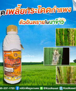 ยกลัง สุดคุ้ม ฟีโนบูคาร์บ  ป้องกัน เพลี้ยกระโดด เพลี้ยจั๊กจั่น เพลี้ยไฟ นาข้าว ผลไม้ ไม้ดอก คลินิกพืชคูลเกษตร