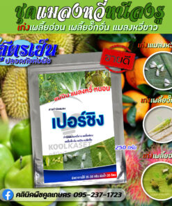 แมลงหวี่ เปอร์ชิง ป้องกันกำจัด แมลงหวี่ขาว เพลี้ยจั๊กจั่น เพลี้ยอ่อน คลินิกพืชคูลเกษตร