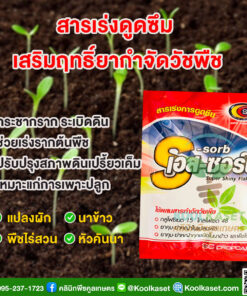 กำจัดวัชพืช เอสซอร์บ สารปรับปรุงดิน เพิ่มผลผลิต พืชโตเร็ว ปลอดสารพิษ คลินิกพืชคูลเกษตร