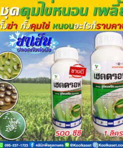 ยกลัง สุดคุ้ม เฮดดรอฟ บูโพรเฟซิน สูตรเข้มข้น ป้องกัน กำจัด แมลงปากดูด เพลี้ยจั๊กจั่น เพลี้ยแป้ง คลินิกพืชคูลเกษตร