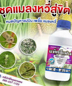 กำจัดแมลง สูตรใหม่ แพ็คซีเฟน ไพริพรอกซีเฟน แมลงหวี่ขาว เพลี้ยกระโดด เพลี้ยจักจั่น คลินิกพืชคูลเกษตร