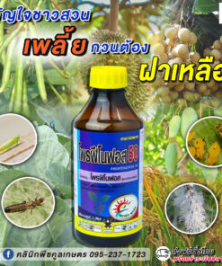 ยกลัง สุดคุ้ม โพรฟีโนฟอส  ป้องกัน บั่ว เพลี้ย หนอนกอ แมงสิง แม่ผีเสื้อ ใช้ได้กับข้าว 20-30 วันขึ้นไป คลินิกพืชคูลเกษตร