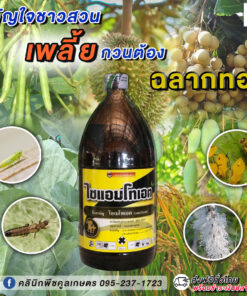 ยกลัง สุดคุ้ม กำจัดหนอน เพลี้ย ไซแอมโทเอต โอเมโทเอต ดูดซึม หนอนเจาะ เพลี้ยแป้ง เพลี้ยอ่อน เพลี้ยหอย คลินิกพืชคูลเกษตร