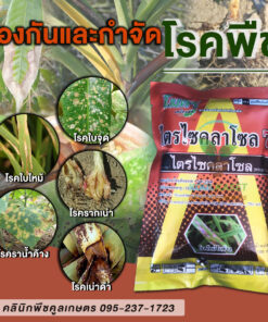 ยกลัง สุดคุ้ม ไตรไซคลาโซล ป้องกัน กำจัดโรคพืช โรคไหม้ กาบใบแห้ง เน่าคอรวง พื้นที่ 3-5 ไร่ นาข้าว คลินิกพืชคูลเกษตร