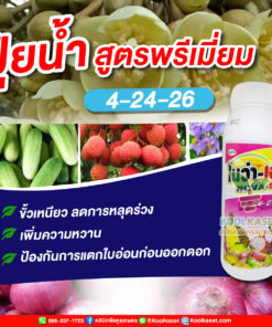 โนว่า-เอส 4-24-26 พืชออกดอกดี ผลดก เร่งเปิดตาดอก ผสมเกสรดี บำรุงผลใหญ่ น้ำหนักดี คลินิกพืชคูลเกษตร