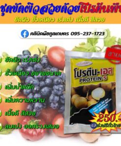 บำรุง บูสท์เอส  สาหร่ายเข้มข้น ฟื้นต้นโทรม เร่งการแตกยอด ใบใหญ่ เขียวเข้ม คลินิกพืชคูลเกษตร