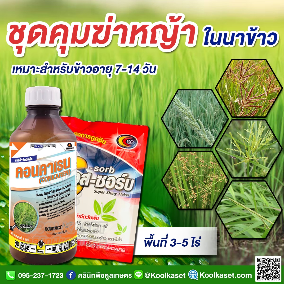 LINE_ALBUM_คอนคาเรน คุมฆ่า-เก็บหญ้า 7-14 วัน 3-5 ไร่_251016_1