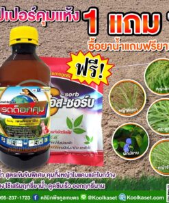 ชุดคุมแห้ง เรดด็อก สารควบคุมวัชพืชใช้ก่อนวัชพืชงอก ใช้กำจัดวัชพืชทั้งใบแคบและใบกว้าง+สารเร่งออกฤทธิ์และดูดซึมได้เร็วขึ้น คลินิกพืชคูลเกษตร