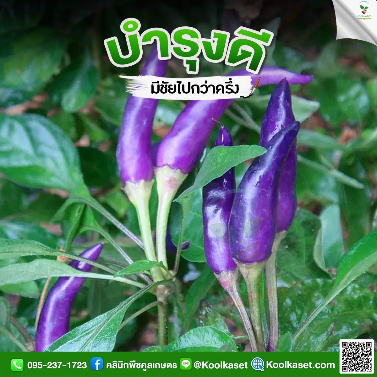 LINE_ALBUM_รูปบำรุง_๒๒๑๐๒๗_1